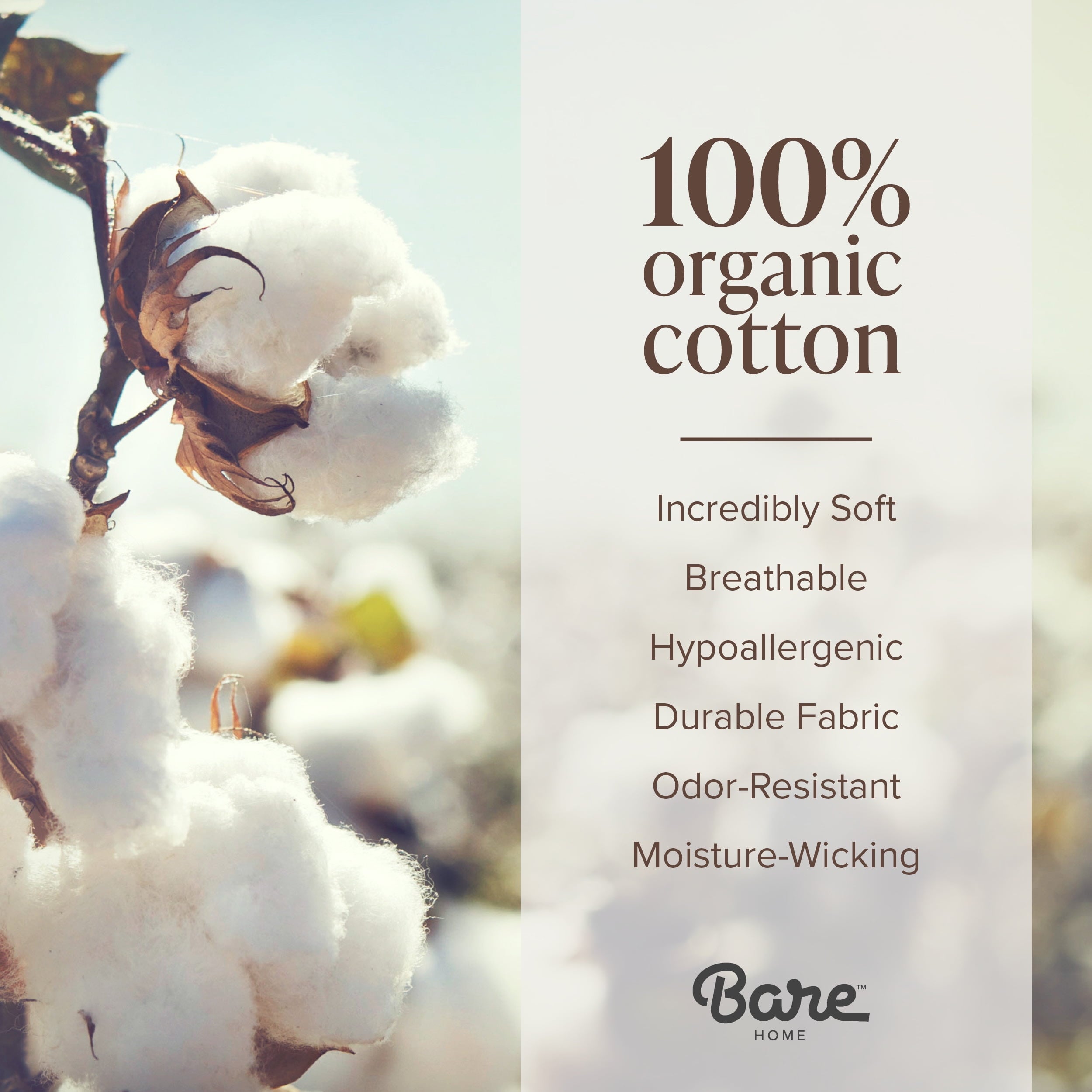 Bare Home Organic Jersey Sheet Set - 100% Organic Cotton - Deep Pocket - 4 Piece - Queen, White